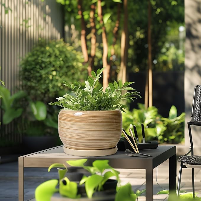 SQOWL Ceramic Plant Pot - 10 Inch Large Planter with Drainage Hole and Saucer, Round Modern Planter for Indoor Plant Outdoor, Decorative Ceramic Flower Pot, Porch Decor, Garden Gift for Women, Yellow