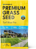 Barenbrug Turf Blue Pro Kentucky Bluegrass Lawn Seed with Yellow Jacket Seed Coating, All-Season Durable Grass Mix for Lawns, 10-lb. Bag