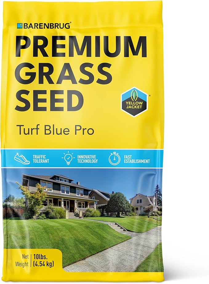 Barenbrug Turf Blue Pro Kentucky Bluegrass Lawn Seed with Yellow Jacket Seed Coating, All-Season Durable Grass Mix for Lawns, 10-lb. Bag