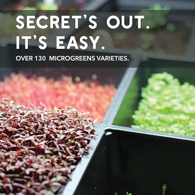 Speckled Pea Sprouting Seeds - 25 g Packet ~75 Seeds - Certified Organic, Non-GMO Green Pea Sprout Seeds - Sprouts & Microgreens