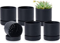 Phoenix Vine 4 Inch Planter Pot with Drainage Hole & Saucer, Deep Water Catch Tray, Straight Cylindrical Round Pot for Plants, Matte Black, Pack of 6, 23-C-R-6