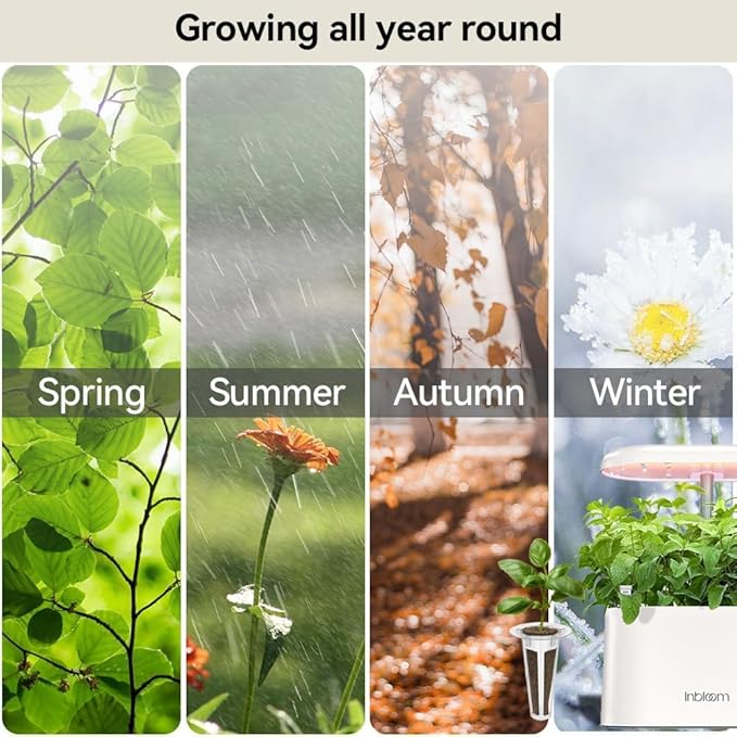 inbloom Fragrant Bouquet Seed Pod Kit for AeroGarden, iDoo, Ahopegarden, GARDENCUBE, 12 Pods (350+ Flower Seeds with Sunflower, Petunia, Mexican Marigold, Cockscomb, French Marigold, Dahlia)