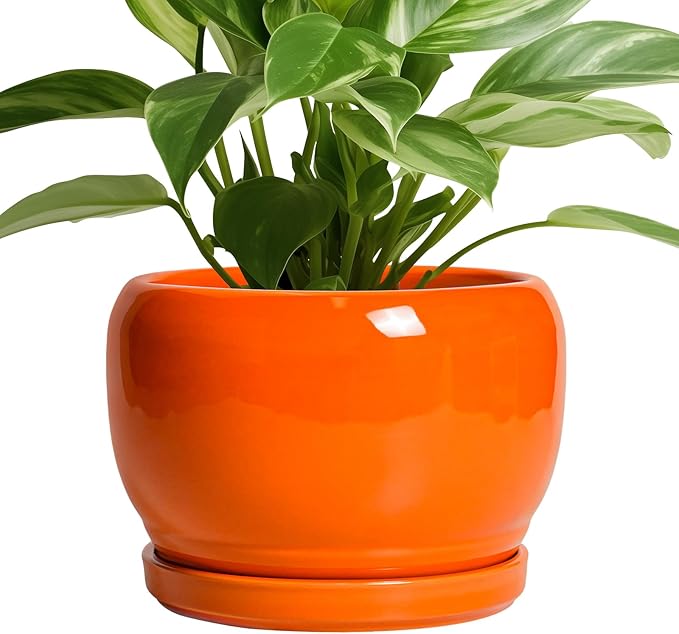 SQOWL Ceramic Pot for Plants - 8 Inch Plant Pot Indoor Outdoor, Modern Round Planter with Drainage Hole and Saucer, Decorative Planter for Flower, Office Decor, Garden Gifts for Women, Orange
