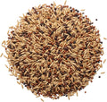 Cover Crop 3 Seed Mix - Oats, Daikon Radishes and Purple Top Turnips - Winter Kills, Promotes Earth Worms, Tons of Forage (2 Pounds)