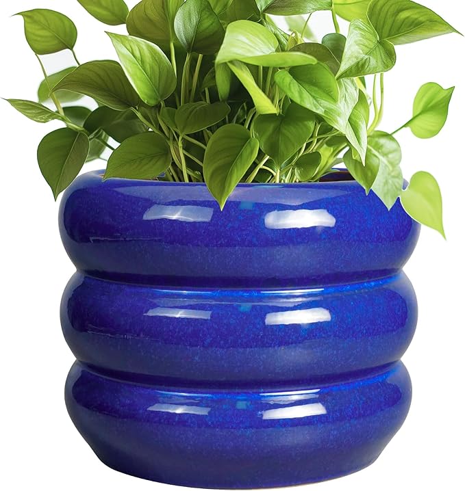 SQOWL 8 Inch Plant Pot - Ceramic Planter Indoor Plant Pot with Drainage Hole Outdoor Flower Pot Round Decorative Plant Pots for Kitchen Counter Desk Decor Blue