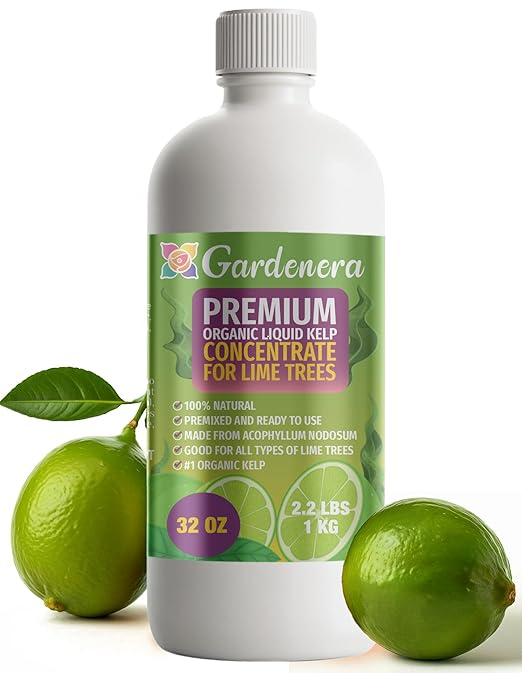 GARDENERA Premium Organic Seaweed & Kelp Superfood for Lime Plants - 32 oz - Liquid Kelp Fertilizer Concentrate (Makes 180 Gallons)