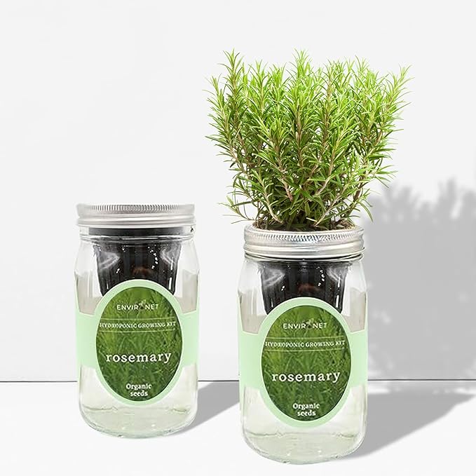 Hydroponic Herb Growing Kit, Self-Watering Mason Jar Herb Garden Starter Kit Indoor, Windowsill Herbs Garden, Grow Your Own Herbs from Organic Seeds (Rosemary)