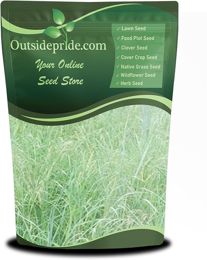 Outsidepride Southwest Native Grass Seed Mix - 1 lb. Perennial Warm & Cool Season Grasses, Drought & Heat-Tolerant, Low Maintenance, Ideal for Erosion Control, Pasture, & Natural Landscaping
