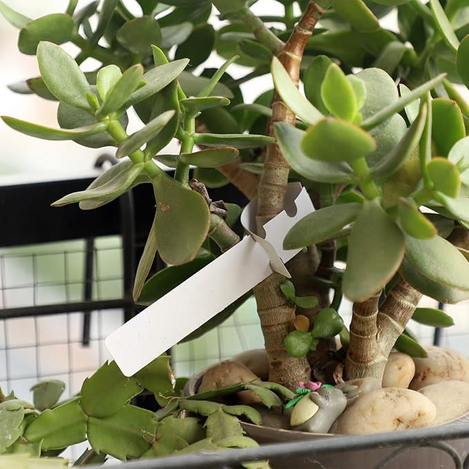 KINJOEK 1200 PCS White Plant Labels Tags, Plastic Adjustable Wrap Around Waterproof Hanging Garden Tree Name Tags, 2x20cm Strip Plant Tag for Identifying Various Outdoor Nursery Plants Flowers