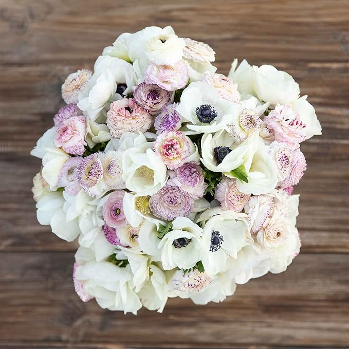 Eden Brothers Anemone & Ranunculus Bulbs - Alpine Mix