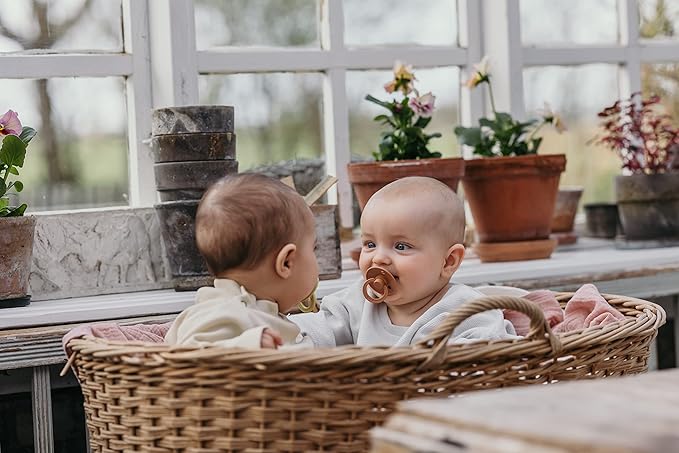 BIBS Pacifiers 0-6 Months | Colour Collection 2-Pack | BPA-Free Symmetrical Natural Rubber Nipple | Made in Denmark | Vanilla/Pine Color Pacifier