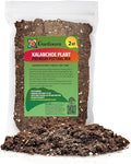Premium Potting Mix for Kalanchoe Plants by Gardenera - Achieve Thriving and Healthy Growth - 2 Quart
