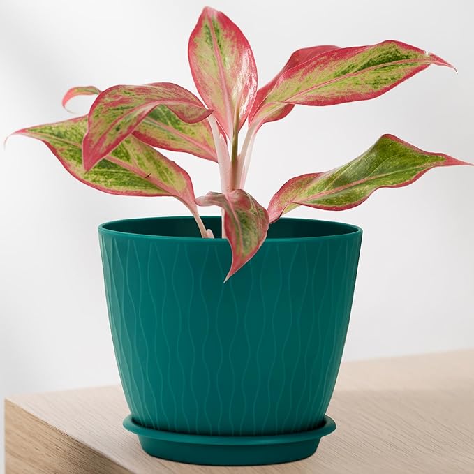 Plant Pots – 6 Inch Planters with Drainage Holes and Saucers, Flower Pots for Indoor and Outdoor Plants, Nursery Planting Pots (Pack of 5, Teal)