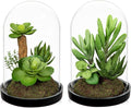 Set of 2 Artificial Succulents Plants in Glass Dome with Featuring Sand Moss, Small Fake Aloe Succulents Plants Faux Plants Indoor Decor for Home Office Table Desk Shelf Room Hostess Gift