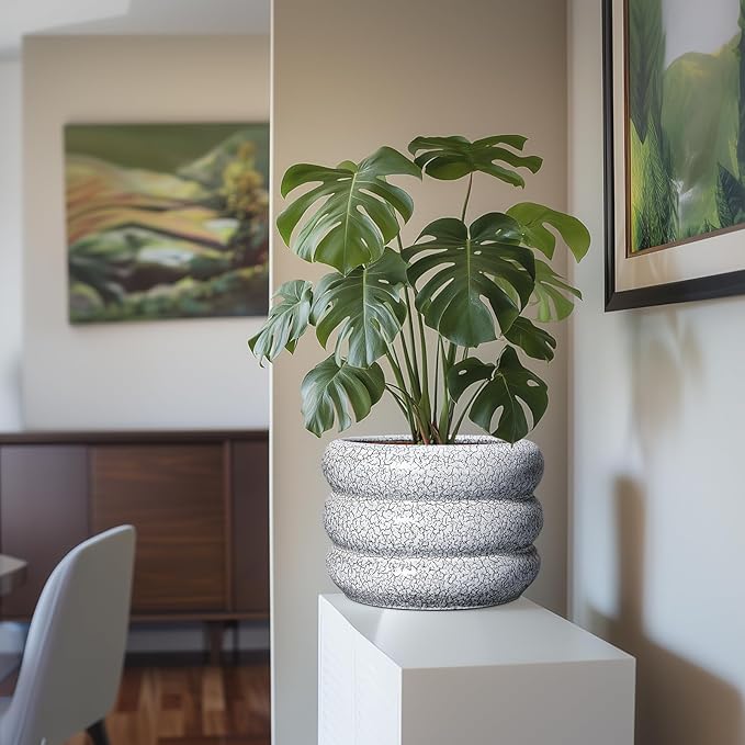SQOWL Ceramic Planter - 10 Inch Ceramic Plant Pot Indoor, Round Planter with Drainage Hole, Modern Flower Pots Outdoor, Home Living Room Garden Decor, Gardening Gifts, Black and White