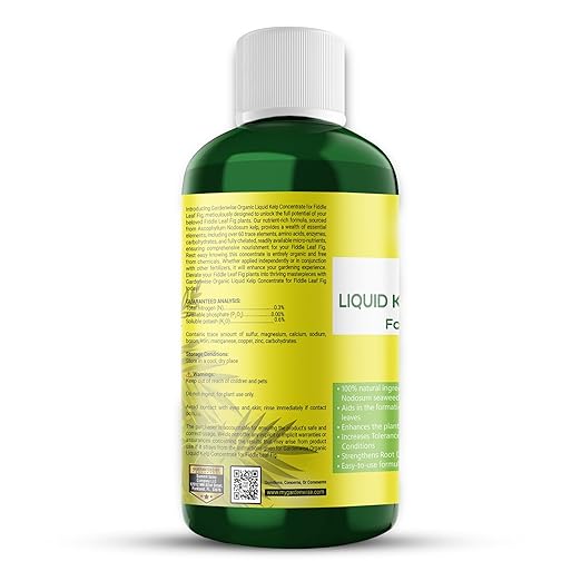 Fiddle Leaf Fig Plant Food – Liquid Seaweed Kelp Fertilizer for Plants – Made in USA (8 OZ)