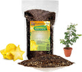 GARDENERA Premium Carambola Potting Soil Mix - Perfect Balance of Nutrients, Drainage, and Aeration for Thriving Starfruit Trees - 1 Quart