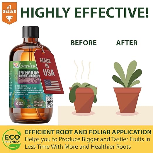 GARDENERA Premium Organic Seaweed & Kelp Superfood for Philodendron Plants - 32 oz - Liquid Kelp Fertilizer Concentrate (Makes 180 Gallons)
