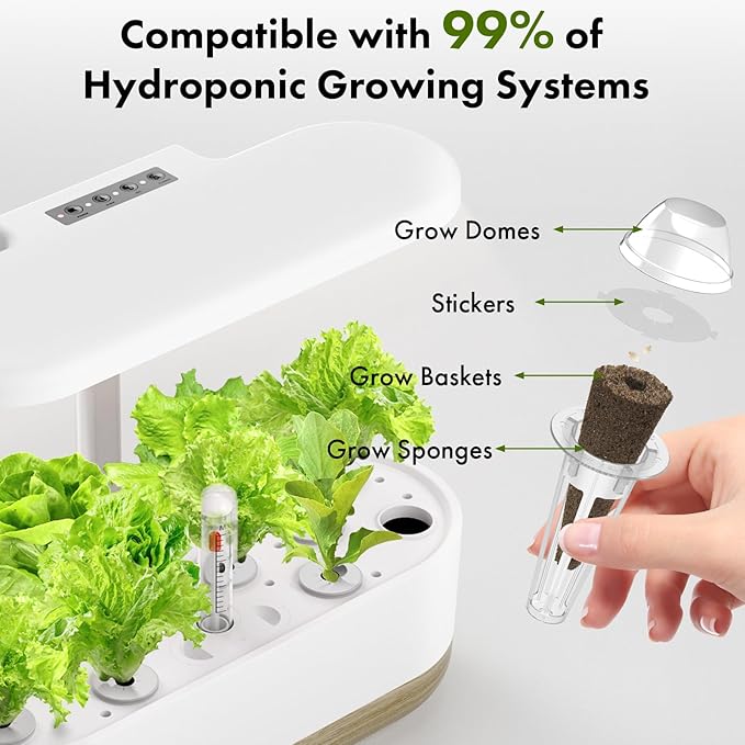 LYKOCLEAN Low-calorie Salad Seed Pods for AeroGarden, Ahopegarden, iDOO Hydroponics Growing System, 350 Seeds+ Including American Fast Lettuce, Buttercrunch Lettuce, Red Tomato, Golden Tomato (7-Pods)