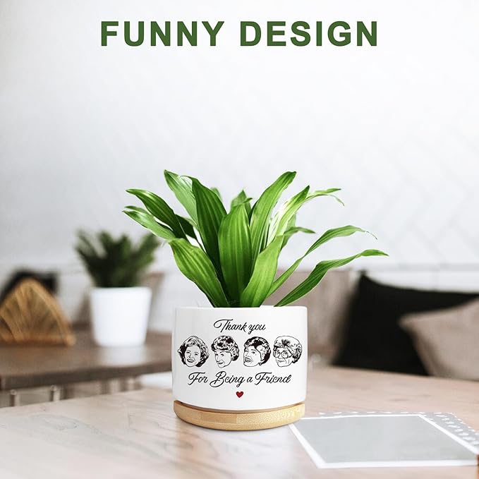 Friend Gifts for Women, Succulent Planter, Flower Cactus Plant Pot, Friendship Gifts for Women Friends Bestie Sister, Golden Merchandise, Thank You for Being A Friend (No Plants)