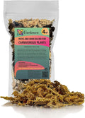 Premium Sphagnum Moss, Perlite and New Zealand Pine Bark Blend for Carnivorous Plants - Perfect for Venus Fly Traps, Pitcher Plants, Sarracenia, Butterworts, and Sundews by GARDENERA - 4 Quart Bag