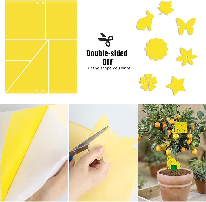 Dwcom 60 Pack Yellow Sticky Traps for Gnats Fruit Fly Traps for Indoors, Fungus Gnat Traps for House Indoor Fly Paper Indoor for Gnats Killer Indoor Trap