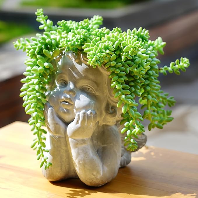 4" Donkey's Tail, Live Sedum Morganianum-Burro's Tail Succulent Fully Rooted in Pots with Soil Mix, Rare House Plant for Home Office Wedding Indoor Outdoor Decoration, DIY Projects, Party Favor
