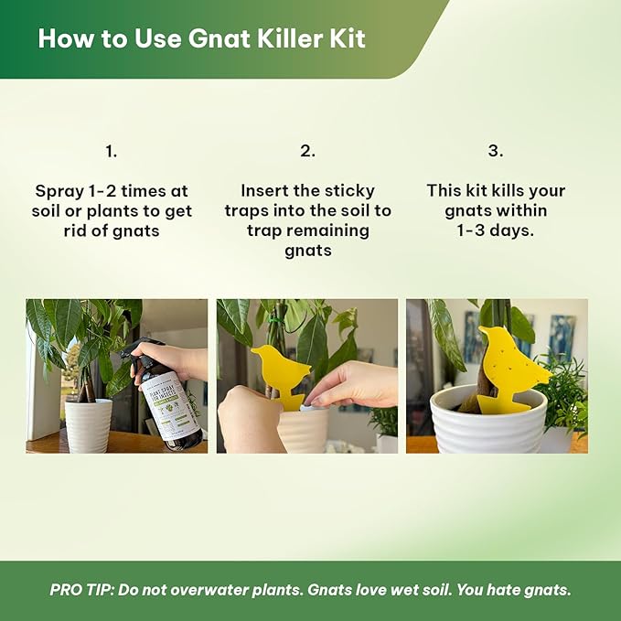 Kate's Home & Garden Plant Spray for Insects & Getting Rid of Gnats with 12 Sticky Traps. Fungus Gnat Killer & Bug Spray for Indoor Plants (16oz, Peppermint, Pet Safe, Non Toxic)