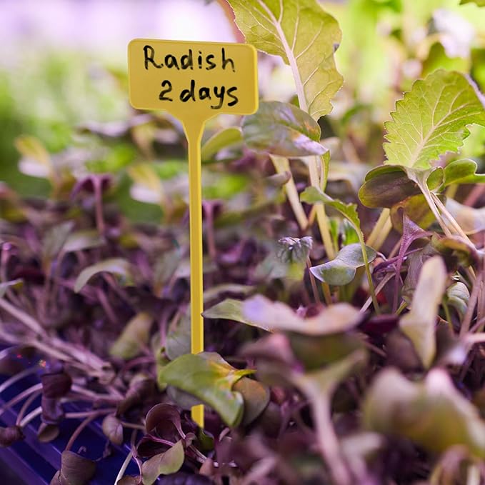 50 Pack Outdoor Tall Plant Labels, Large Waterproof Plastic Plant T-Type Tags, Durable Nursery Garden Markers, Perfect for Herbs, Flowers, Vegetable and Potted Plants