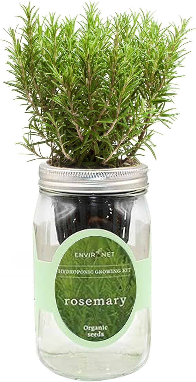 Hydroponic Herb Growing Kit, Self-Watering Mason Jar Herb Garden Starter Kit Indoor, Windowsill Herbs Garden, Grow Your Own Herbs from Organic Seeds (Rosemary)
