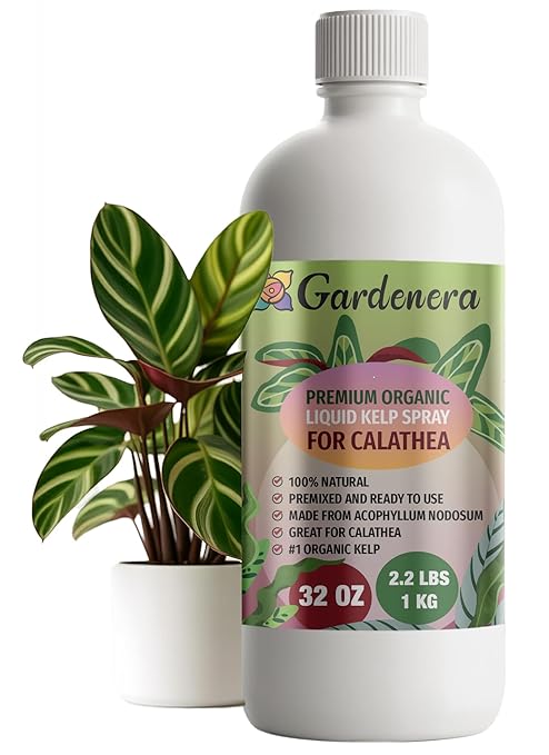 GARDENERA Premium Organic Seaweed & Kelp Superfood for CALATHEA Plants - 32 oz - Liquid Kelp Fertilizer Concentrate (Makes 180 Gallons)