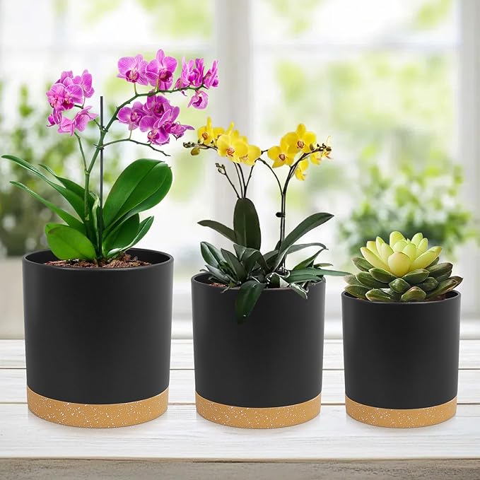 3 Pack 6/5/4 inch Cylindrical Flower Pots, Modern Small Round Plastic Plant Pots with Drainage Holes & Saucers, Clean and Refined Planter Pots for Outdoor, Indoor & Office Decor (Black Brown)