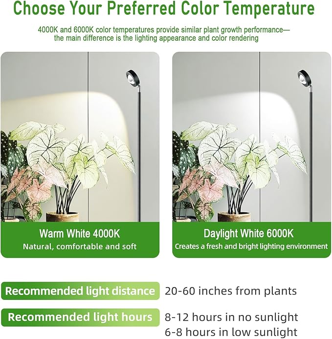 20W Full Spectrum Grow Light, High PPFD&CRI COB LED Floor Plant Lamp with 6/8/12H Timer, Daylight 3000LM Adjustable Height (28"-83") & Angle, Grow Lights for Indoor Plants, Succulents & Flowers