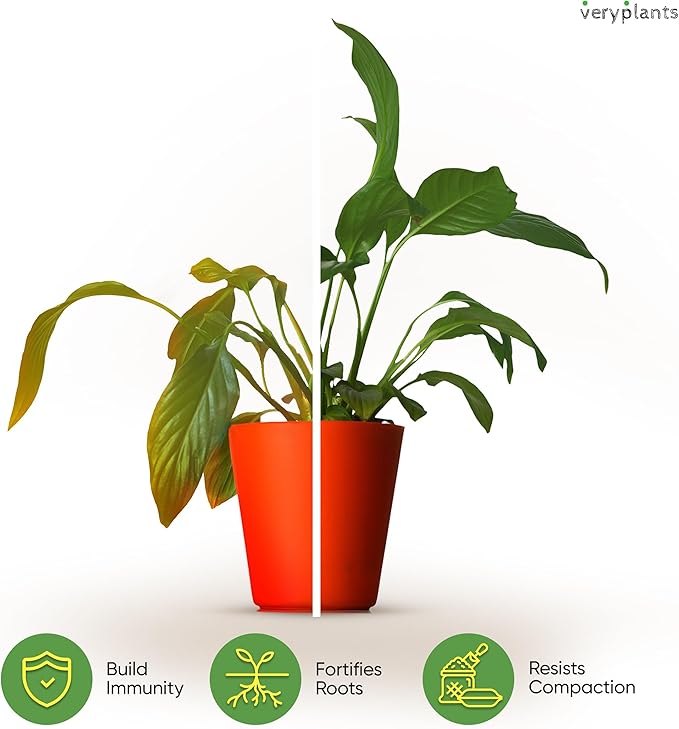 Molly's Aroid Mix - Premium Soilless Potting Mix for Houseplants - Fast Draining, Chunky & Easier to Water vs. Soil for Indoor Plants - with Bark, Coco Chips, Worm Castings, Mycorrhizae 3 Dry Quarts