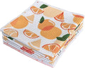 QUILTINA Dish Towels Set