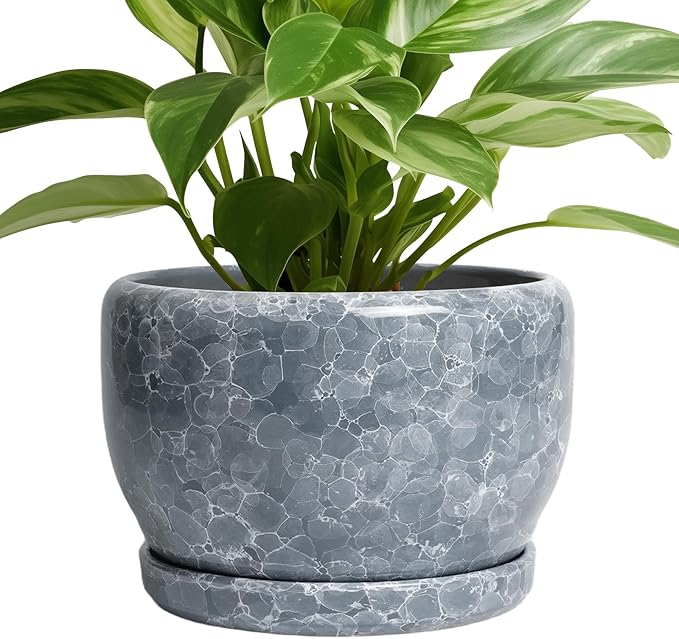 SQOWL 8 inch Plant pots Indoor - Ceramic Planter with Drainage Hole and Plant Saucer, Decorative Ceramic Flower Pot Outdoor, Modern Round Planter, Patio Porch Garden Decor, Garden Gifts, Gray
