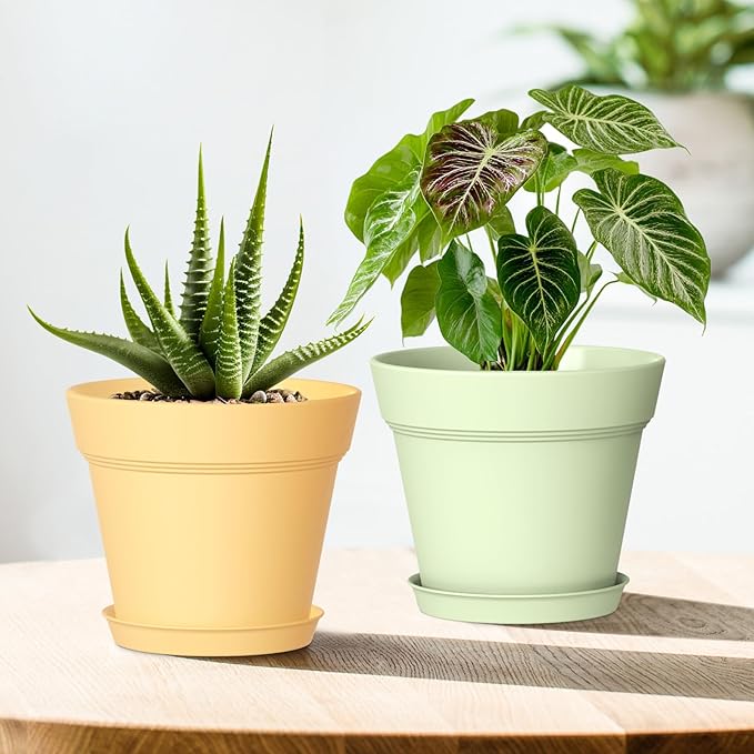 4 Inch Plastic Plant Pots with Drainage Holes and Trays – 8 Pack Small Nursery Pots for Indoor & Outdoor House Plants and Flowers, Seedling Starter Planters, Colorful