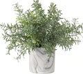 Hollyone Faux Plants Indoor Artificial Mini Potted Plants Plastic Green Plant Small Fake Plants Eucalyptus Decor in Pots for Home Table Room Bathroom Decor