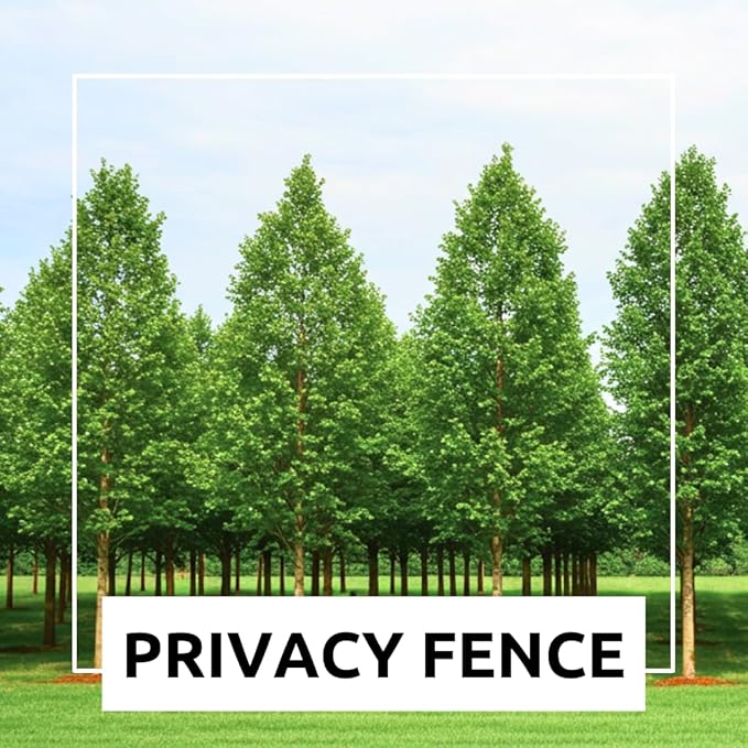 Hybrid Poplar Tree Seedlings for Planting - Fast Growing Privacy and Shade Trees (3 Trees)