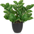 Briful Faux Plants Indoor, Artificial ZZ Plants in Black Pot Fake House Silk Plants for Home Office Dining Table Shelf Decor Bathroom Aesthetic (Green, 1Pack)