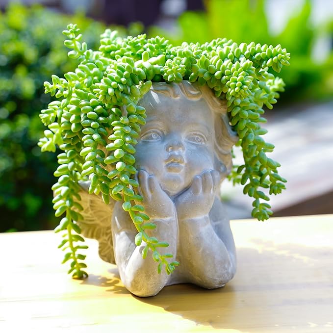 Donkey's Tail with 4" White Stripe Pot, Live Sedum Morganianum-Burro's Tail Succulent with Soil Mix, Rare House Plant for Home Office Wedding Indoor Outdoor Decoration, DIY Projects, Party Favor