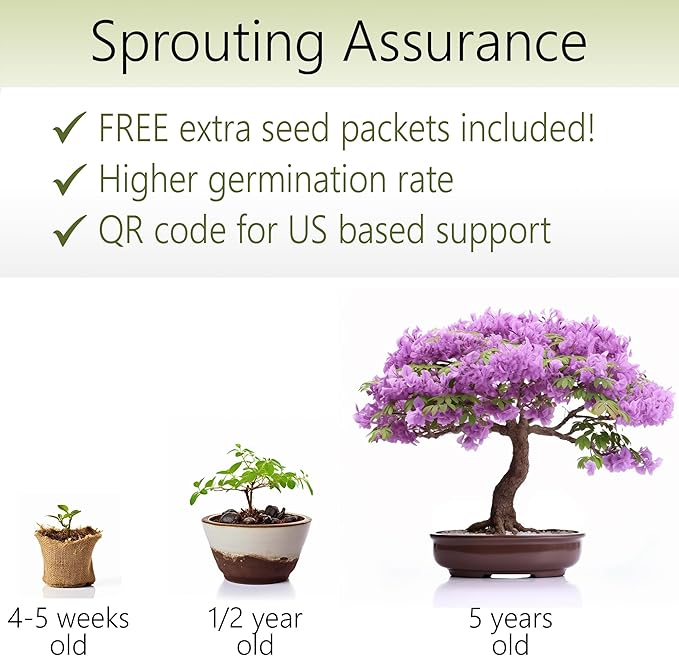 Bonsai Starter Kit – Growing Jacaranda Bonzai Tree from Seeds | Complete Indoor Tree Kit for Growing Plants with Tools & Planter – Gardening Gifts for Mother, Women & Men
