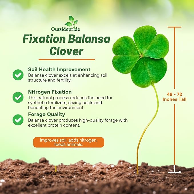 Outsidepride Fixation Balansa Clover Seeds for Lawn - 5 lbs. Coated & Inoculated, Cold Season, Drought Tolerant Cover Crop Seeds, Ideal for Erosion Control, Pasture, & Pollinator-Friendly Garden