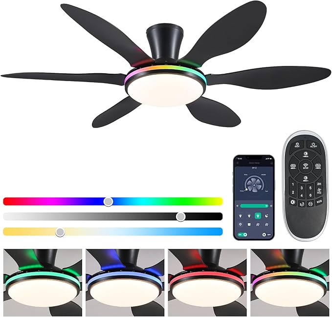 BayDay Ceiling Fans with Lights, Flush Mount Ceiling Fan Led Lights Quiet DC Dimmable 6 Blades (Black Fan, Led Light + Side RGB Light, 51 inch)