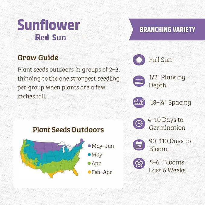 Sunflower Seeds for Planting - Heirloom Non-GMO Red Sun Sunflower Seeds to Plant & Grow Home Outdoor Garden - Great Gardening Gift, 1 Ounce Approx 500 Seeds