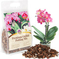 Orchid Bark Potting Mix with Pine Bark and Perlite, Fast Draining Orchid Soil for Healthy Roots, Ideal for Repotting Orchid and Orchid Bark for Indoor Plants (1 Quart)