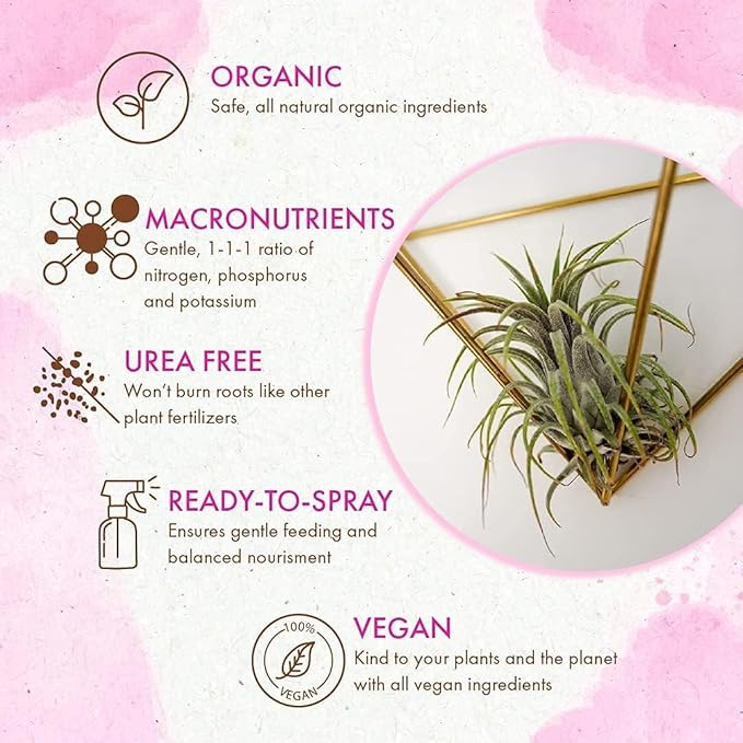 Organic Ready to Spray Air Plant Food - Fertilizer Mist for Weekly Use - Best for Live Tillandisa, Bromeliads, and Other Common Air Plants (8 oz)
