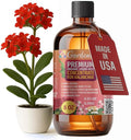 GARDENERA Premium Organic Seaweed & Kelp Superfood for KALANCHOE Plants - 8 oz - Liquid Kelp Fertilizer Concentrate (Makes 45 Gallons)