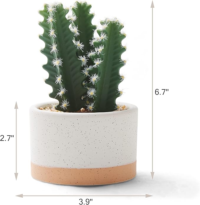 Artificial Succulent Plants in Ceramic Pots, Faux Assorted Succulents Fake Cactus Plants for Home Decor, Bedroom, Office, Desk, Living Room, Set of 3…