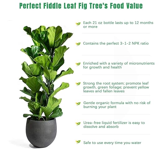 Fiddle Leaf Fig Tree Plant Food 21 oz,Liquid Houseplant Fertilizer with 3-1-2 NPK Ration for Healthy Roots,Stems and Leaves